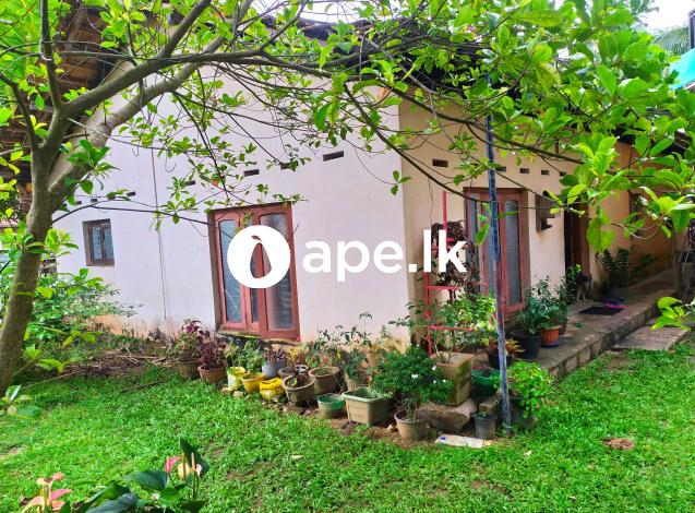 à¶‰à¶©à¶¸à¶šà·Š à·ƒà¶¸à¶Ÿ à¶±à·’à·€à·ƒà¶šà·Š à·€à·’à¶šà·’à¶«à·“à¶¸à¶§ à¶‡à¶­-à¶šà·”à¶»à·”à¶«à·‘à¶œà¶